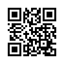 QR Codes Plugin