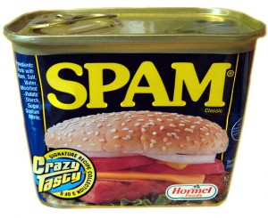 stop au spam sous wordpress